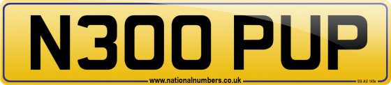 N300 PUP