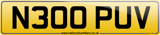 N300 PUV