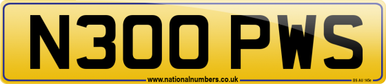 N300 PWS