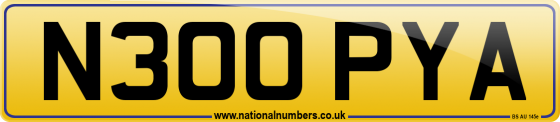 N300 PYA