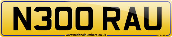 N300 RAU