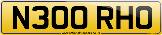 N300 RHO