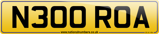 N300 ROA