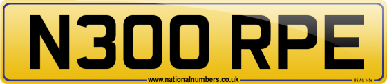 N300 RPE