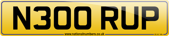 N300 RUP