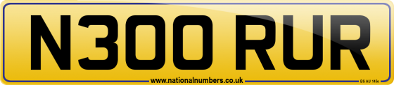 N300 RUR