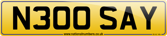 N300 SAY