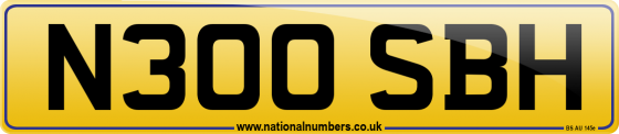 N300 SBH