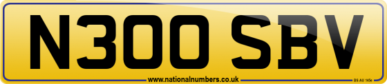 N300 SBV