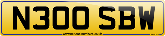 N300 SBW