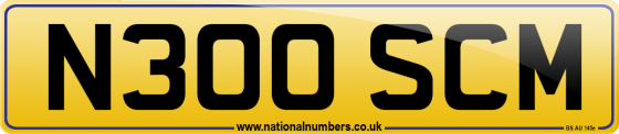 N300 SCM