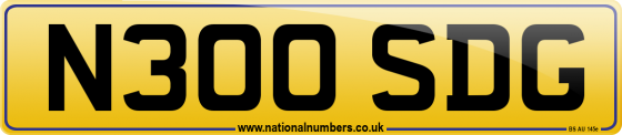 N300 SDG