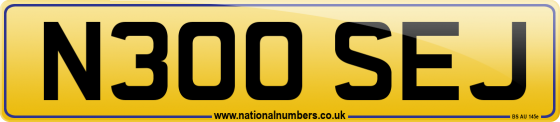 N300 SEJ