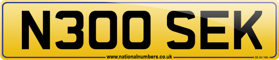 N300 SEK