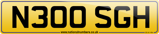 N300 SGH