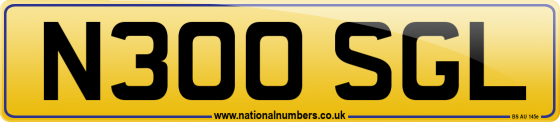 N300 SGL