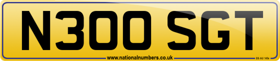 N300 SGT
