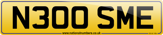 N300 SME