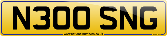 N300 SNG