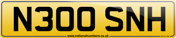 N300 SNH