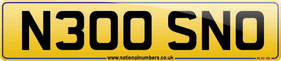 N300 SNO