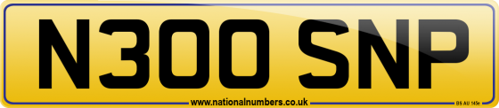 N300 SNP