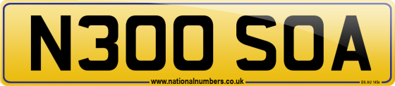 N300 SOA