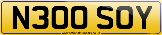 N300 SOY