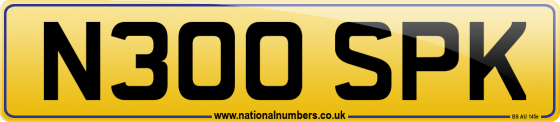N300 SPK