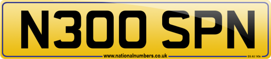 N300 SPN