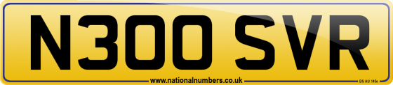 N300 SVR