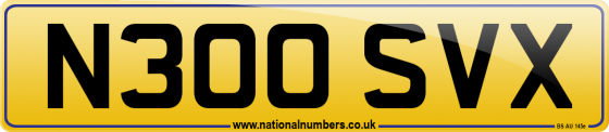 N300 SVX