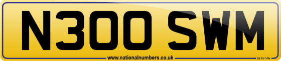 N300 SWM