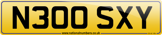 N300 SXY