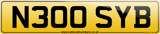 N300 SYB