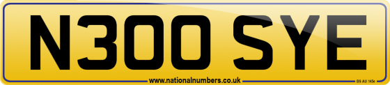 N300 SYE
