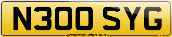 N300 SYG