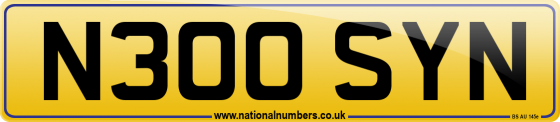 N300 SYN