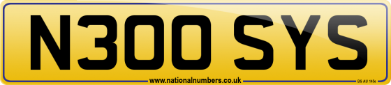 N300 SYS