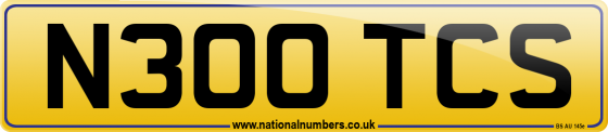 N300 TCS