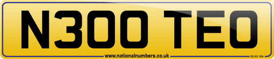 N300 TEO