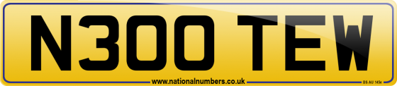 N300 TEW