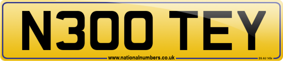 N300 TEY
