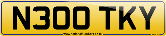 N300 TKY