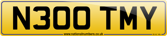 N300 TMY