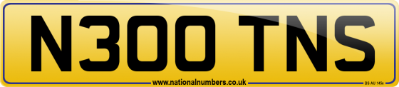 N300 TNS