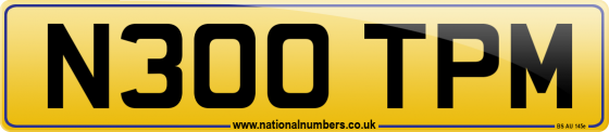N300 TPM
