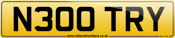N300 TRY