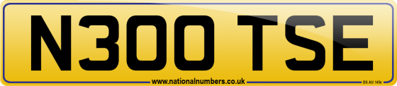 N300 TSE