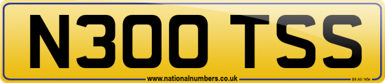 N300 TSS